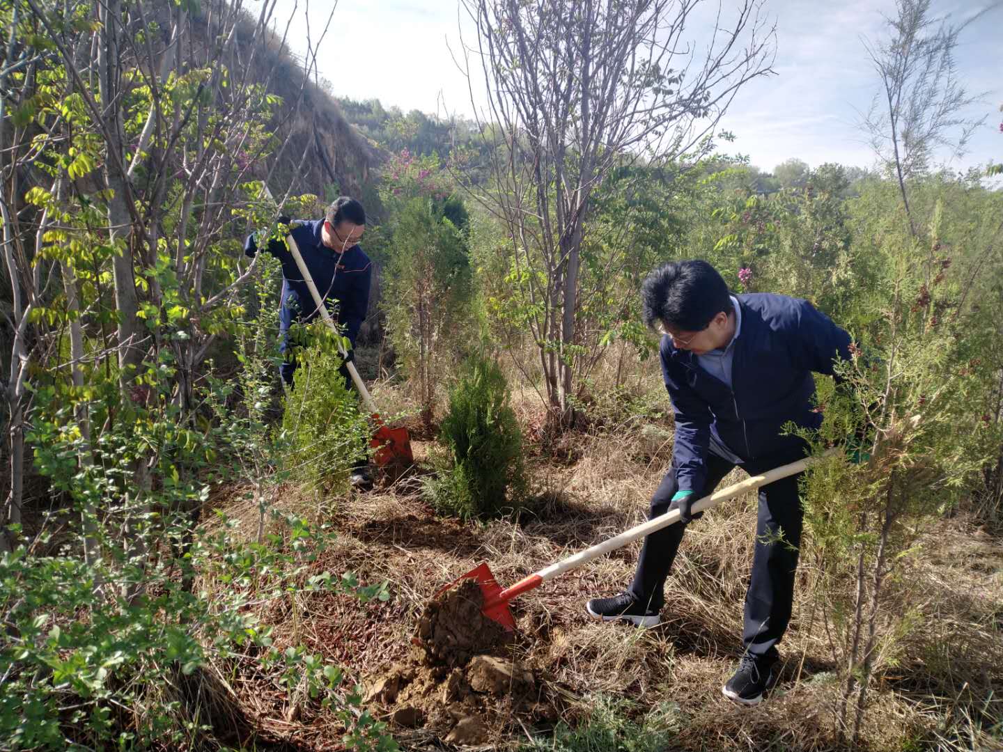 刘宁副厅长.jpg